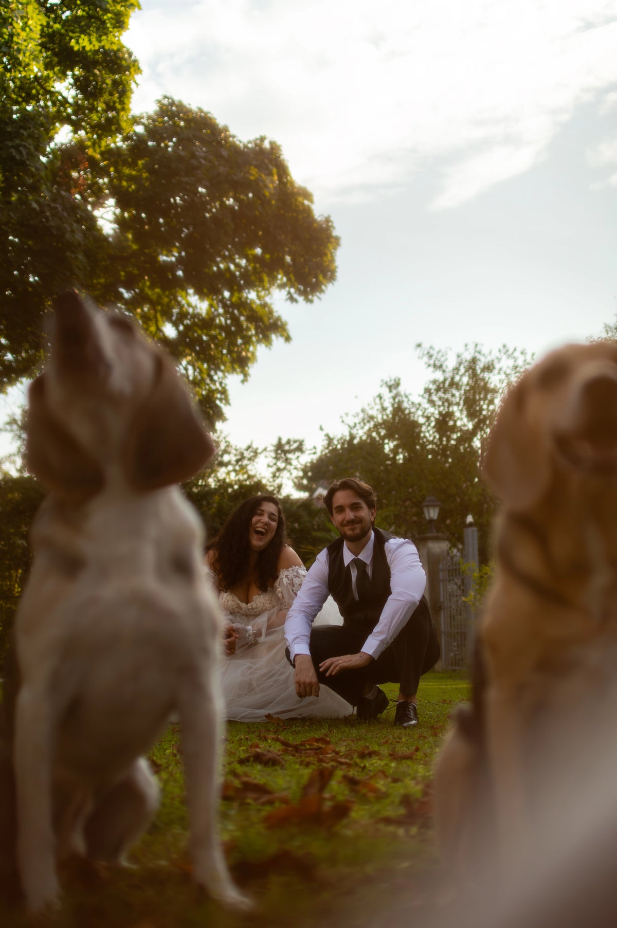Gli sposi seduti sul prato, visti da dietro i due cani di famiglia